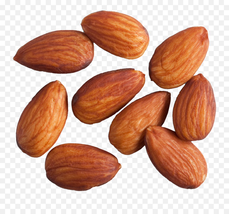 Almond Png Photo Image - Dry Fruits Png,Almonds Png