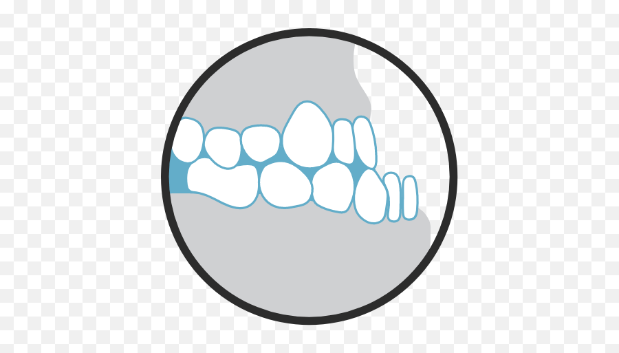 Orthodontic Conditions We Treat To Fix Your Bite - Smile Houzz Language Png,Dental Trauma Icon