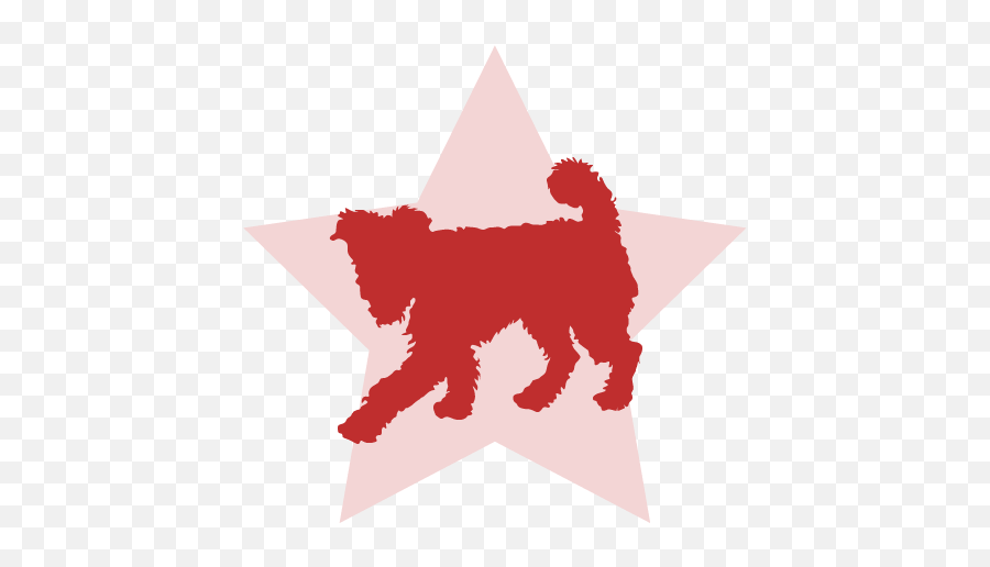 Stardog Sf - San Francisco Dog Training U0026 Private Walks Northern Breed Group Png,Dog Walk Icon