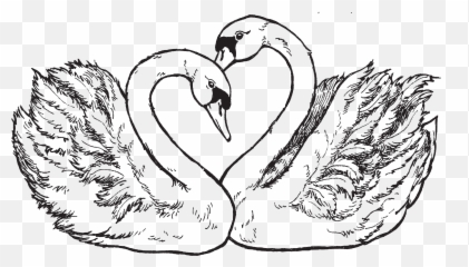 Clipart Wedding Swan Transparent Free - Anniversary Cards Png,Swan Png