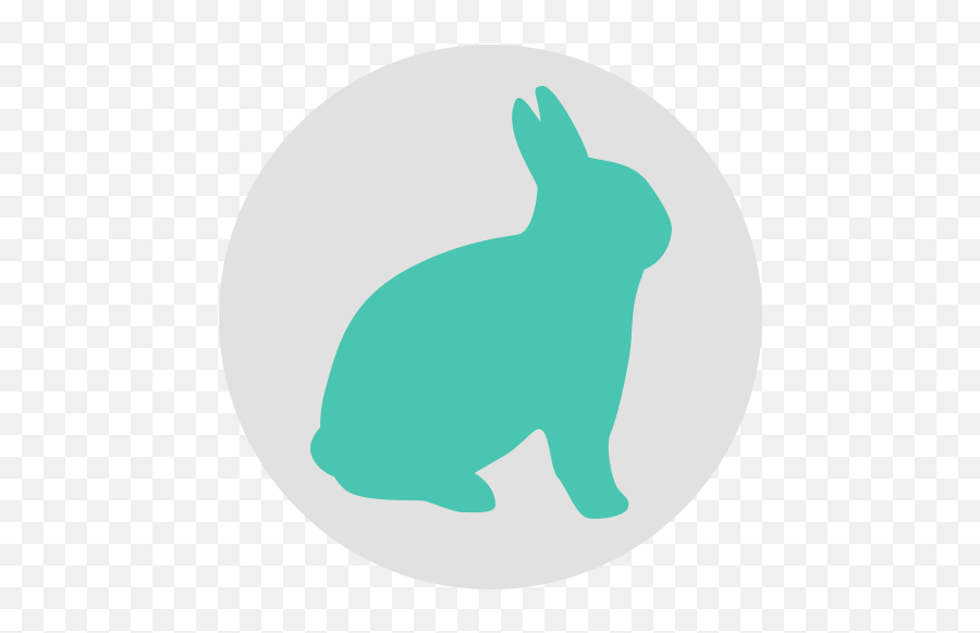 Rabbit Health Concerns Png Easter Bunny Email Icon