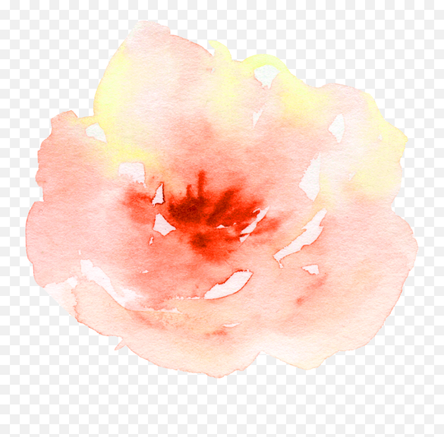 Flower Watercolor Watercolour Peach - Peach Aesthetic Png Hd,Painting Png