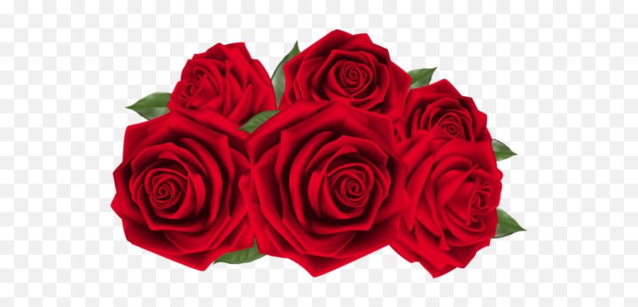 Dark Red Rose Clipart - Red Roses Hd Png,Red Rose Png