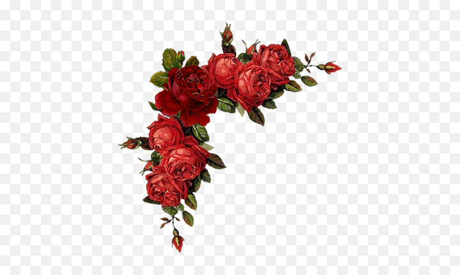 Cantos De Flores Do Vintage Em Png - Transparent Red Flowers Png,Flores Png