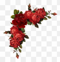 Cantos De Flores Do Vintage Em Png - Transparent Red Flowers Png,Flores Png