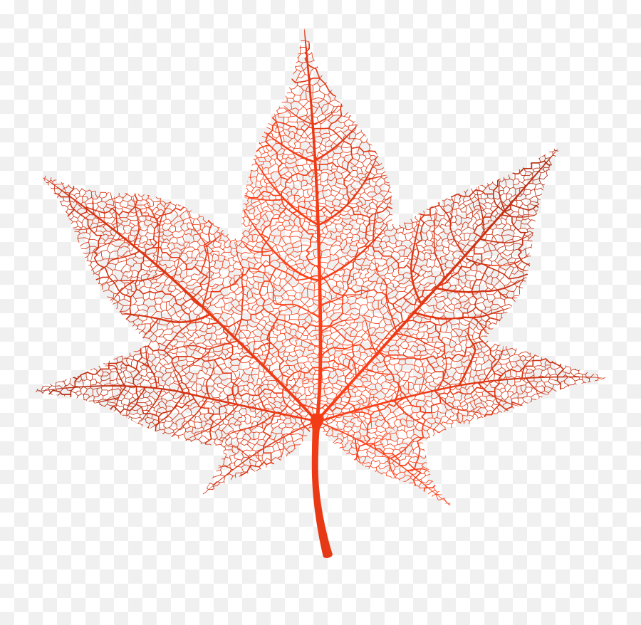 Maple Leaves Png Transparent Red Autumn Leaf Png Clip Art Autumn Leaves Clip Art Free Transparent Png Images Pngaaa Com