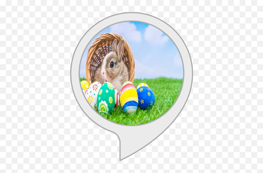 Amazoncom Easter Facts Alexa Skills - Easter Png,Easter Grass Png