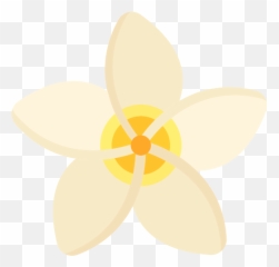 Jasmine Png Icon - Jasmine Icon Png,Jasmine Png