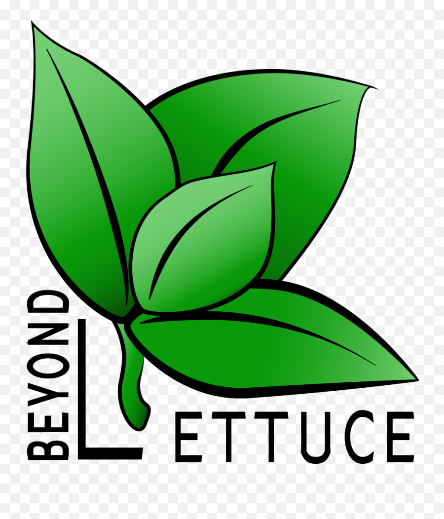 Beyond Lettuce Grows Microgreens Using Indoor Agriculture - Graphic Design Png,Lettuce Png