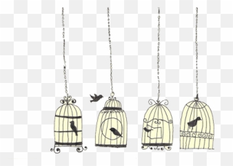 Image About Beautiful In Bit Of Everything By Apieceofparadise - Bird In Cage Drawing png