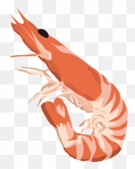 Northern Shrimp Food Clipart Free Download Transparent Png - Illustration,Food Clipart Png