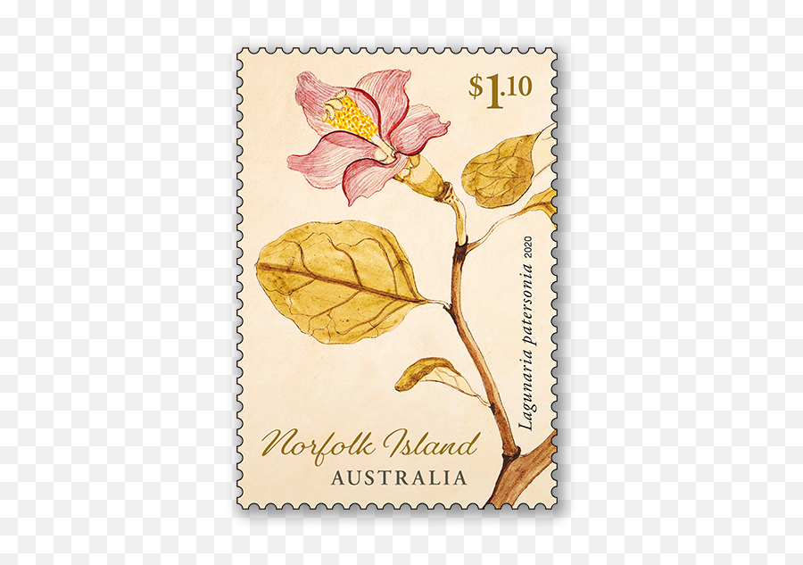 Norfolk Island Early Botanical Art - Australia Post Stamps Norfolk Island Png,Botanical Png