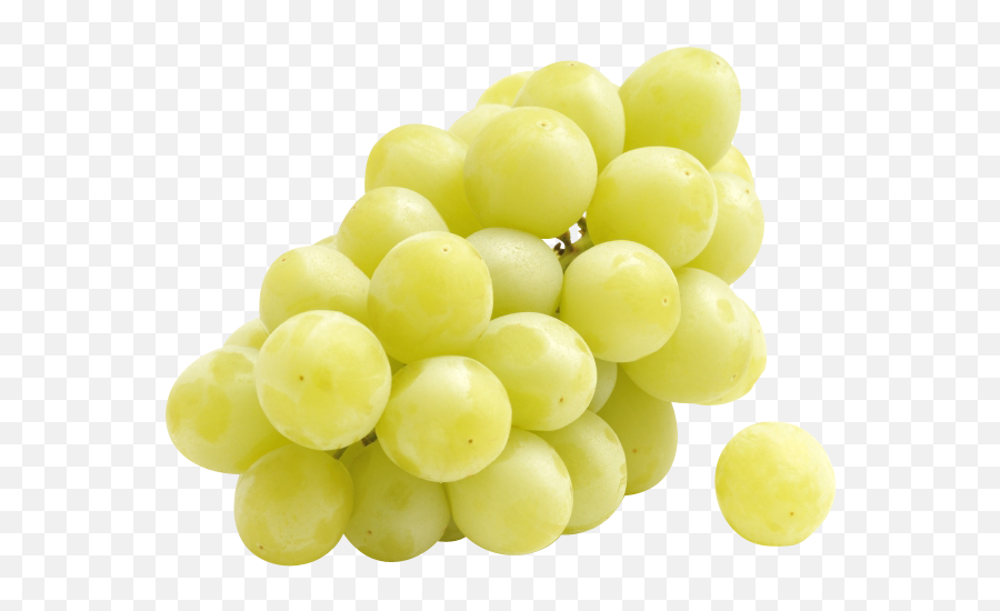 Download Thompson Seedless Sugra One Black Flame - Transparent One Grape Png,Grape Png