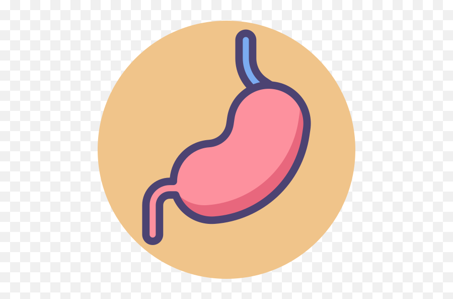 Stomach - Stomach Icon Png,Stomach Png