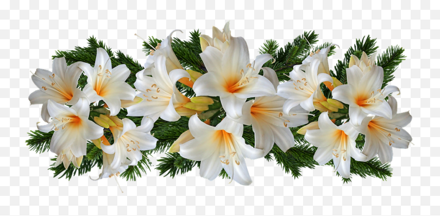 Lilies Belladonna Arrangement Flowers - Lírios Png,White Lily Png