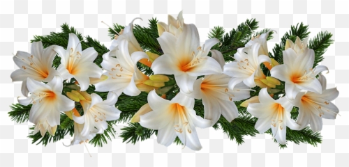 Lilies Belladonna Arrangement Flowers - Lírios Png,White Lily Png