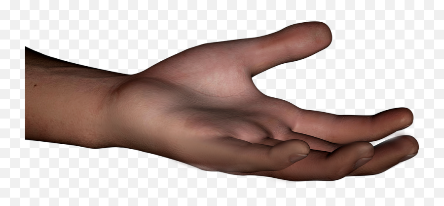 Hand Human Part Of The - Free Image On Pixabay Human Body Png,Hand Grabbing Png