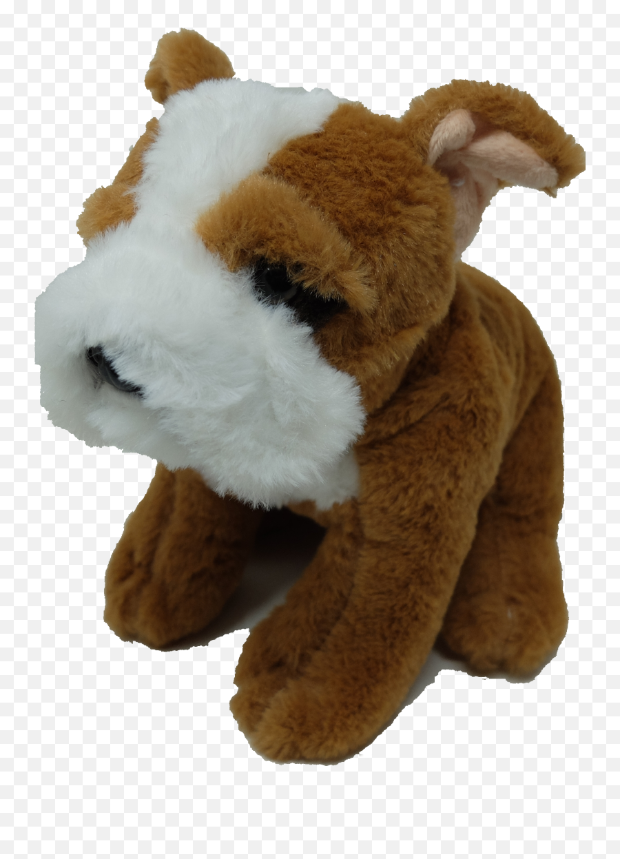 Bulldog - 8 Teddy Bear Png,Bull Dog Png