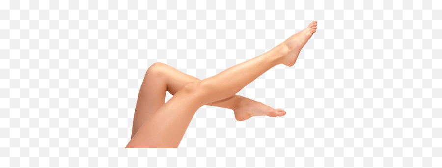 High Heels Legs Transparent Png - Stickpng Woman Legs,Leg Transparent
