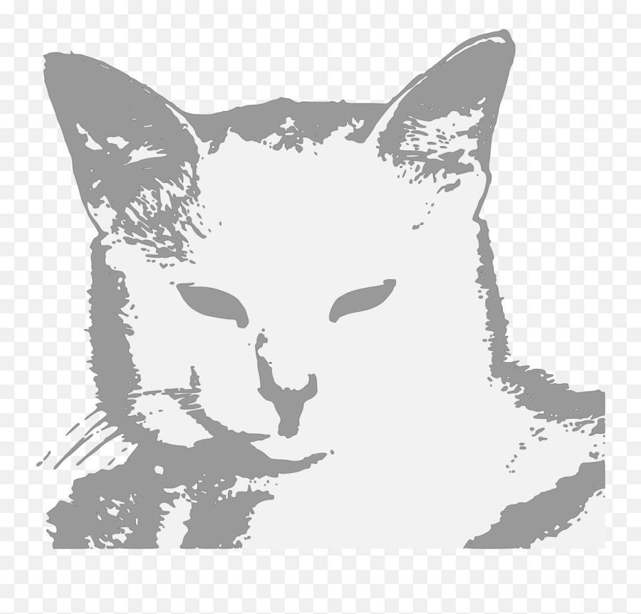 Cool Cat Silhouette Transparent Png - Free Svg Images For Cricut Cat,Cool Cat Png