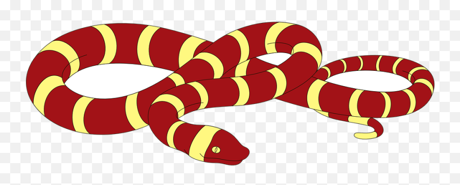 Download Vector Cartoon Red Snake Painted Snakes - Snake Clipart Transparent Background Cartoon Png,Cartoon Snake Png