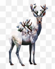 Download Drawing Antlers Deer - Ciervo Vector PNG Oil Painting