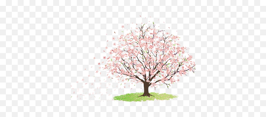 Vintage Floral Png - Google Search Fotografi Alam Alam Cherry Tree,Cherry Blossom Branch Png