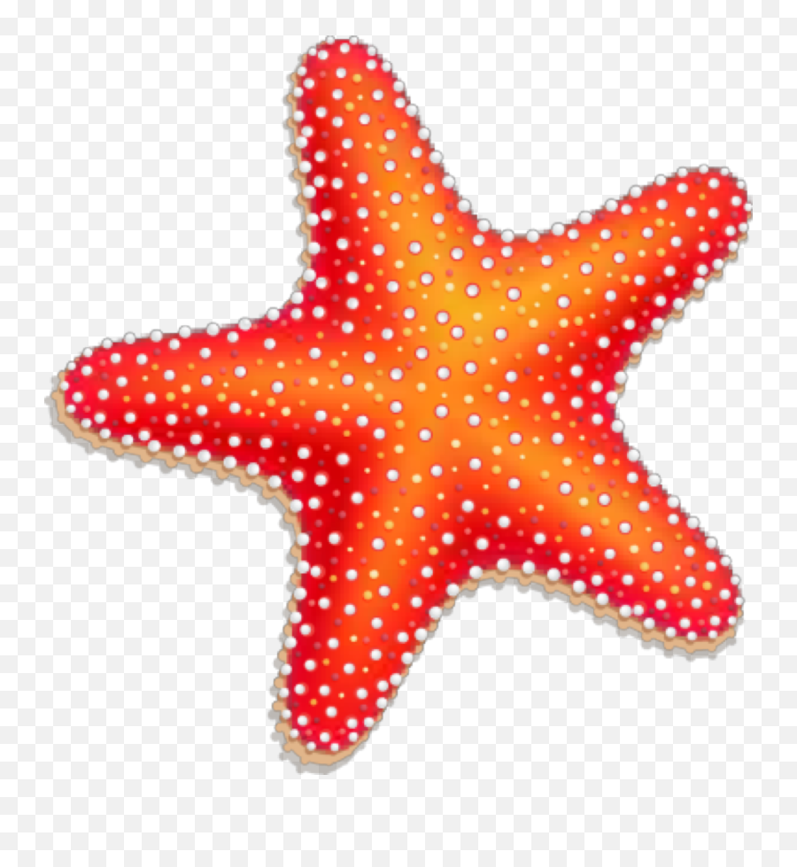 Starfish Png Transparent Images - Starfish Clipart Png,Ocean Clipart Png