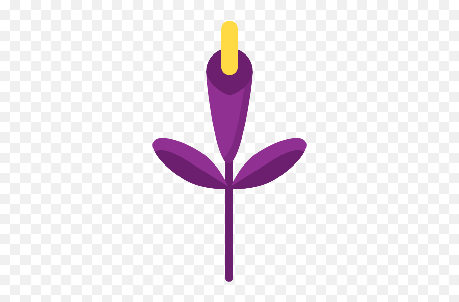 Gladiolus - Free Nature Icons Girly Png,Nyu Icon