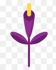 Gladiolus - Free Nature Icons Girly Png,Nyu Icon