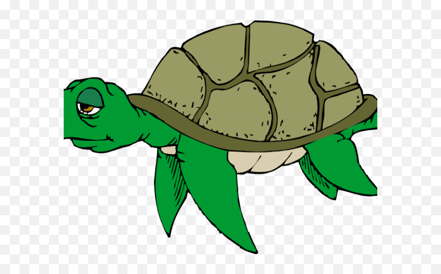 Sea Turtle Clipart Cute - Snapping Turtle Clip Art Png,Cute Turtle Png