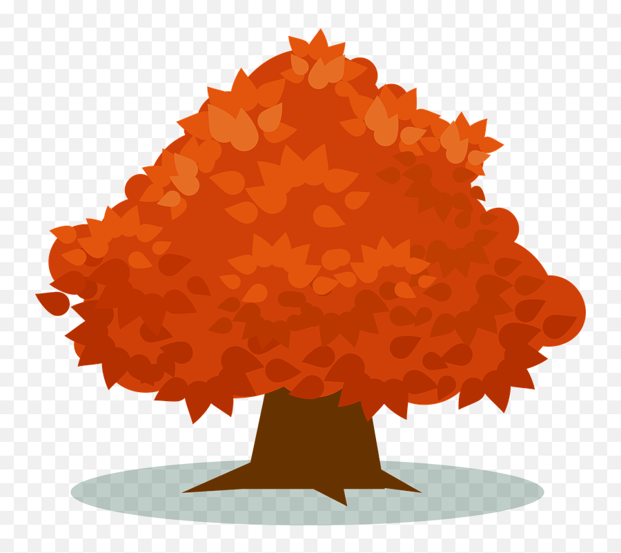 Orange Plant - Free Vector Graphic On Pixabay Transparent Fruit Tree Clipart Png,Orange Tree Png