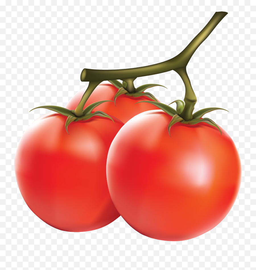 Tomato Transparent Png File Web Icons - Tomato In Png,Tomato Clipart Png