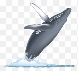 Humpback Whale Png 6 Image - Humpback Whales Png,Humpback Whale Png