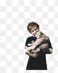 Download Hd Ed Sheeran Cat And - Ed Sheeran Con Su Gatito Png,Ed Sheeran Png