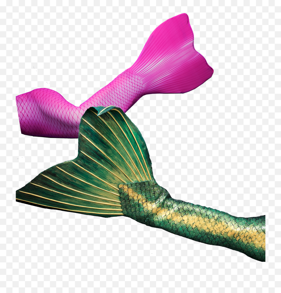 Get Your Professional Fabric Or Silicone Mermaid Tail - Mermaid Png,Mermaid Tail Png