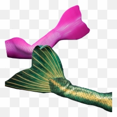 Get Your Professional Fabric Or Silicone Mermaid Tail - Mermaid Png,Mermaid Tail Png