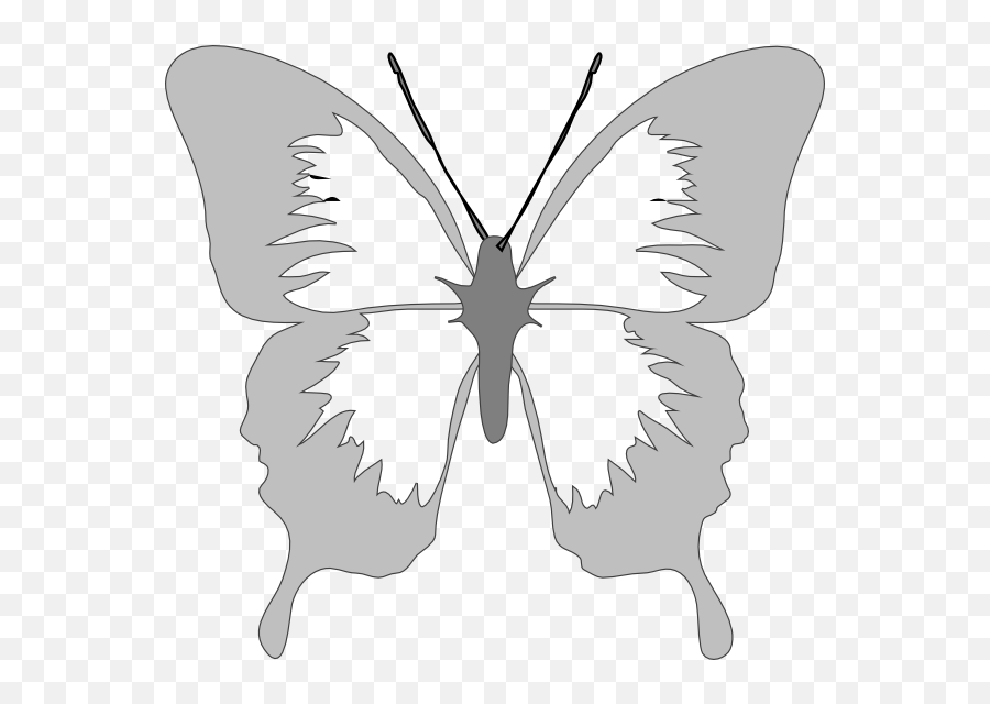 Butterfly Vector Png - Silver Butterfly Clip Art 1465270 Butterfly Clip Art,Butterfly Vector Png