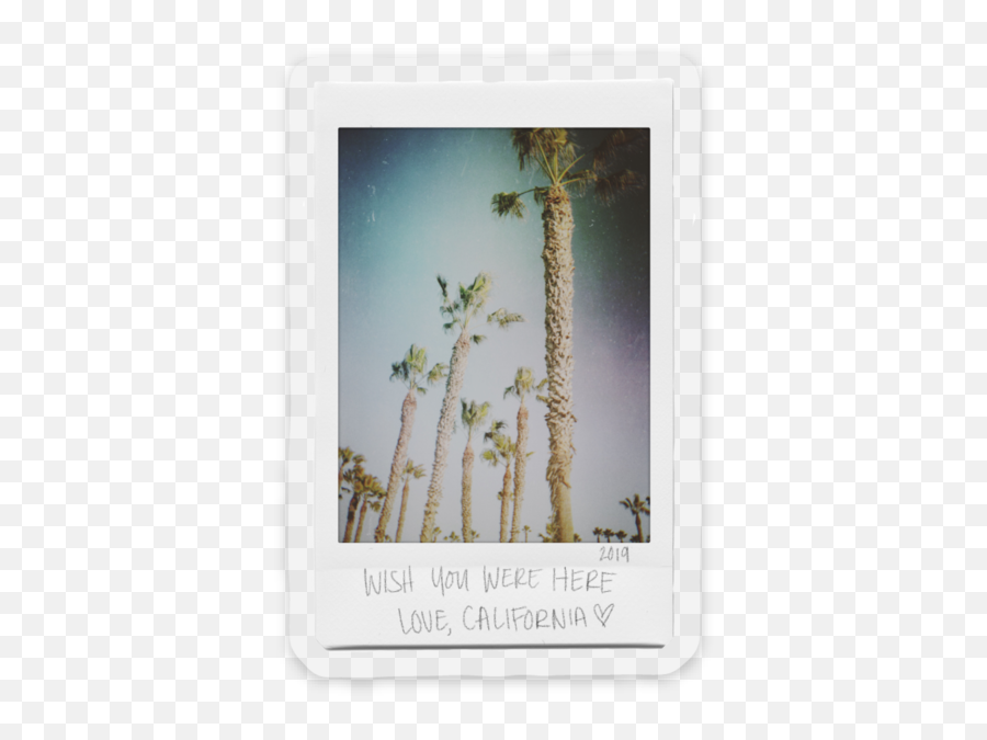 Wish You Were Here Polaroid Sticker Png