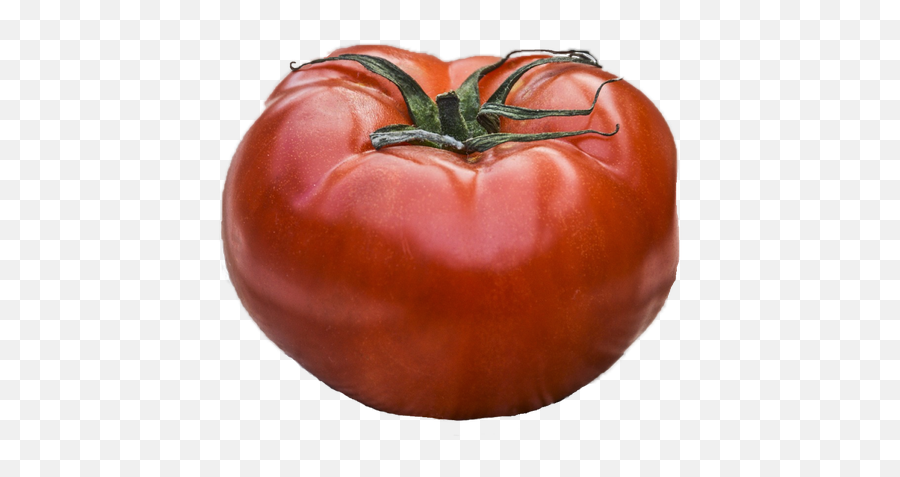 How Could I Edit Photo Background Color Easily And Free - Quora Plum Tomato Png,Bucket Transparent Background