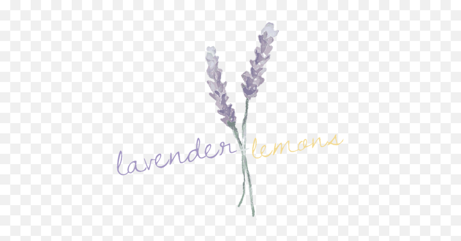 Brand Development U2014 Essensualist - English Lavender Png,Lemons Png