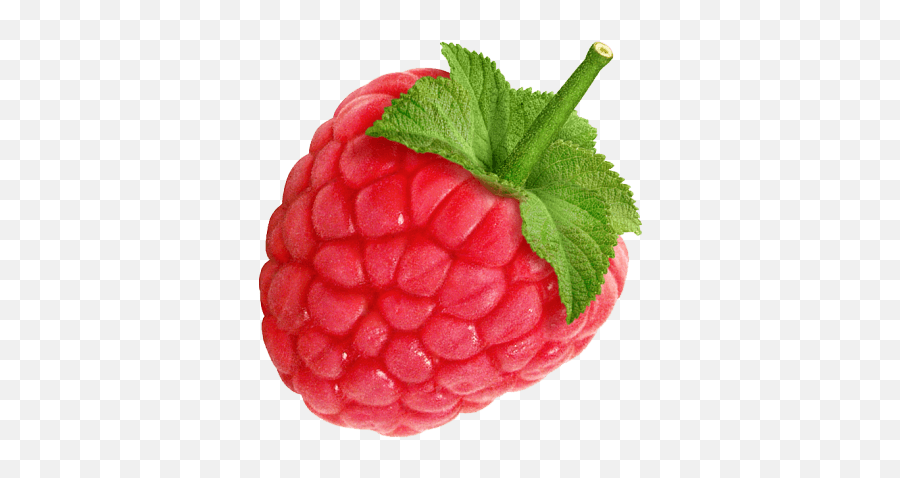Large Raspberry Transparent Png - Raspberry Transparent,Raspberries Png