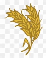 Wheat Spike Doodle Icon - Transparent Png U0026 Svg Vector File Illustration,Spike Png