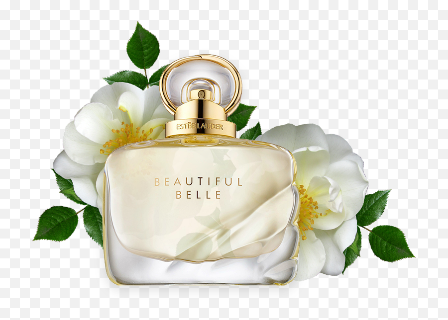 Beautiful Belle Estée Lauder Reastars Perfume And Beauty - Beautiful Belle Estée Lauder Png,Belle Png