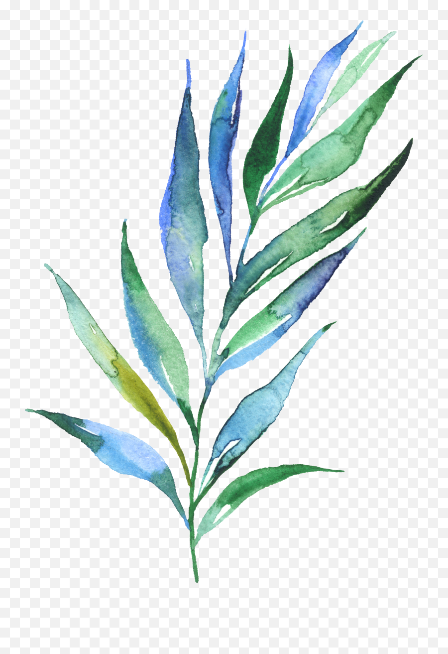 Download Watercolour Watercolor Plants Leaves - Water Color Plants Png,Green Plant Png