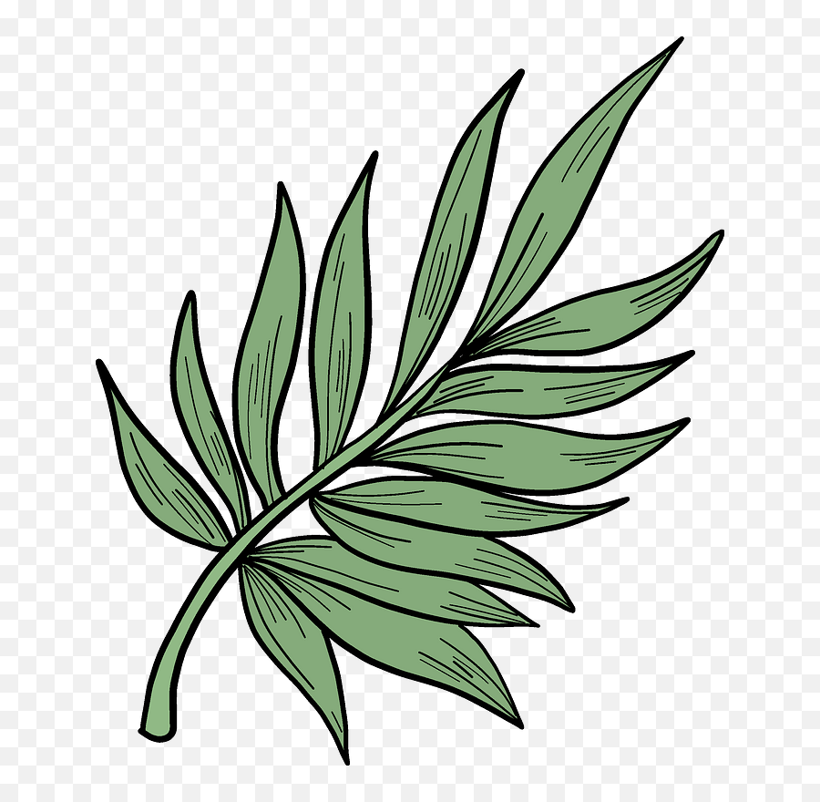 Download Palm Leaf Clipart Hd Png - Clip Art,Leaf Clipart Transparent