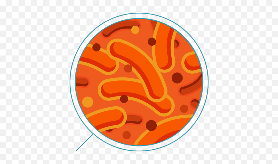 Download Hd Iron - Orange Bacteria Png,Bacteria Png