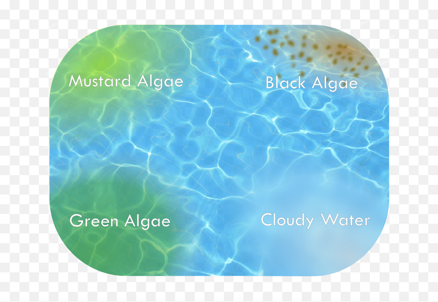 Water Problems Apartmentpools - Mustard Algae In Pool Png,Pool Water Png