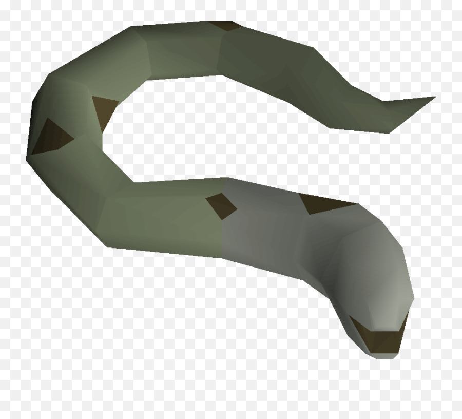 Mottled Eel - Horizontal Png,Eel Png