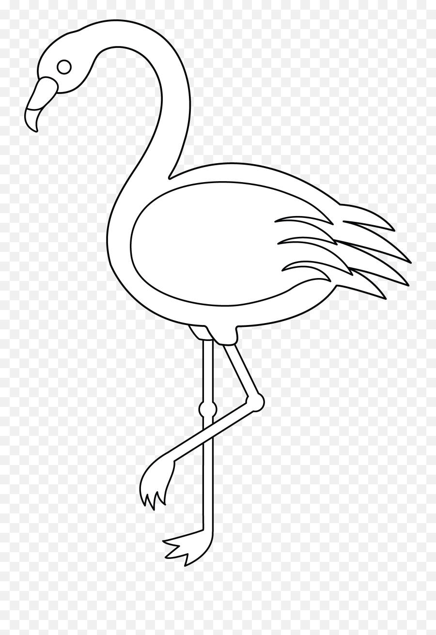 Full Size Png Image - Outline Image Of Flamingo,Flamingo Clipart Png